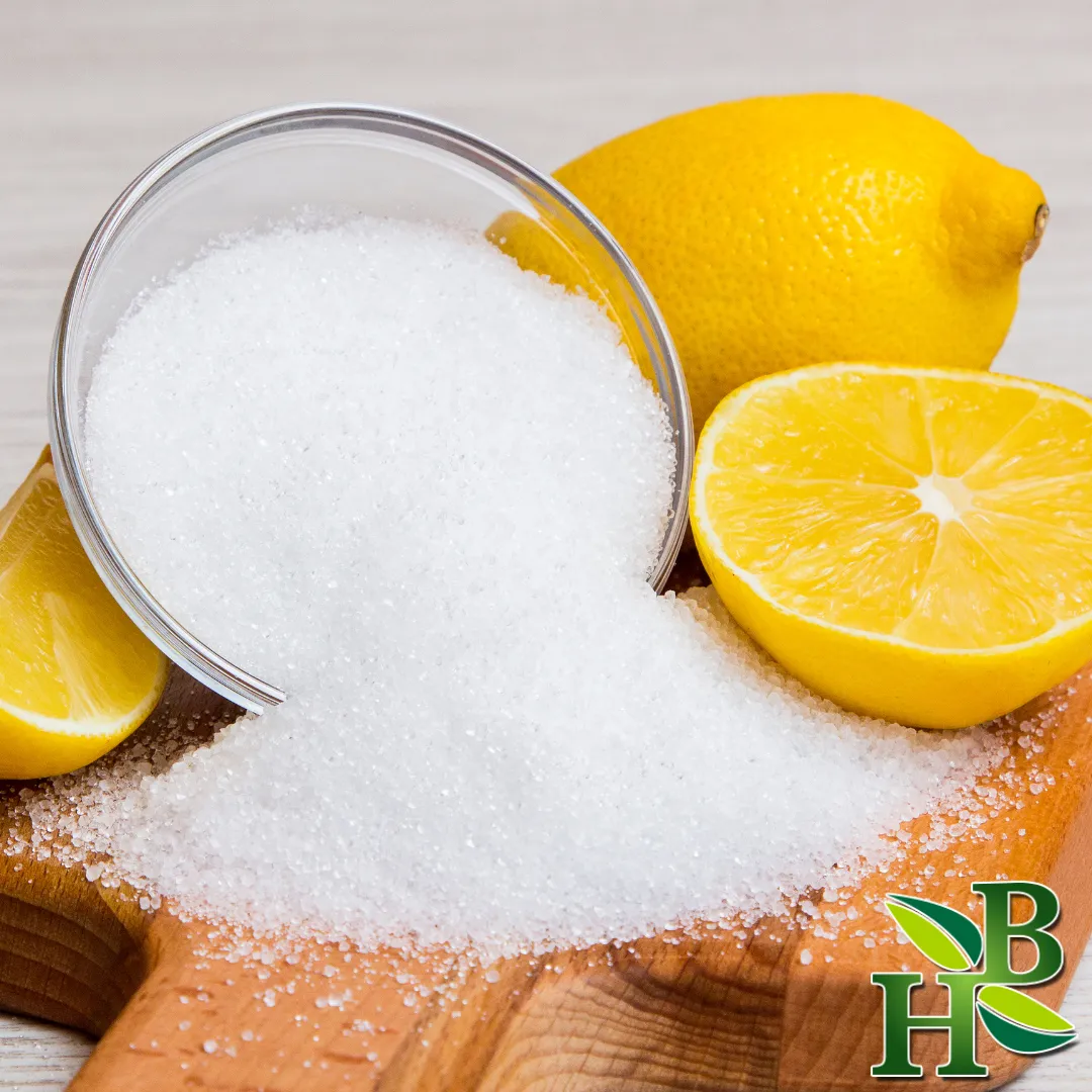 Citric Acid Powder