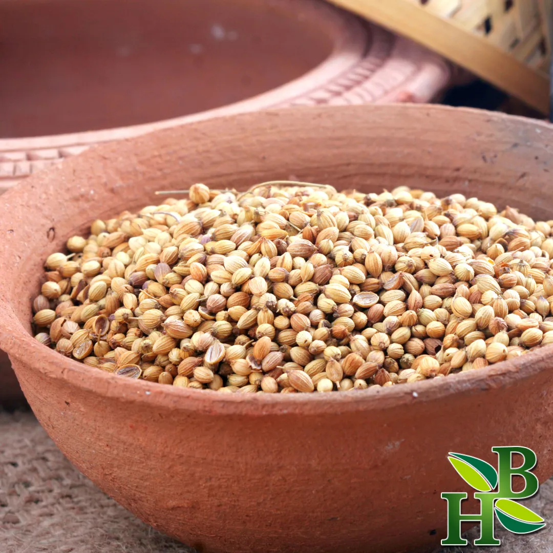 Coriander Seed Whole