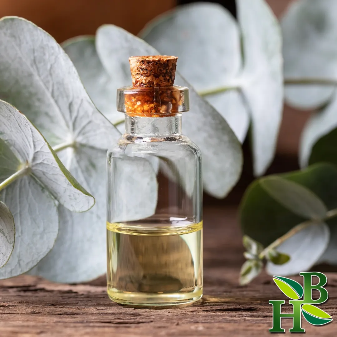 Eucalyptus Leaf Powder