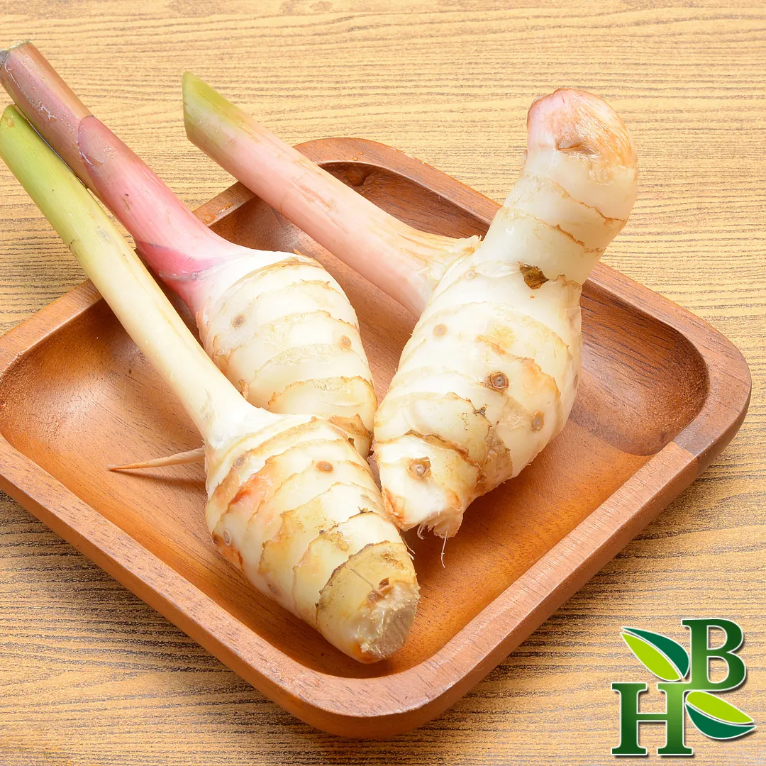 Galangal Root C/S