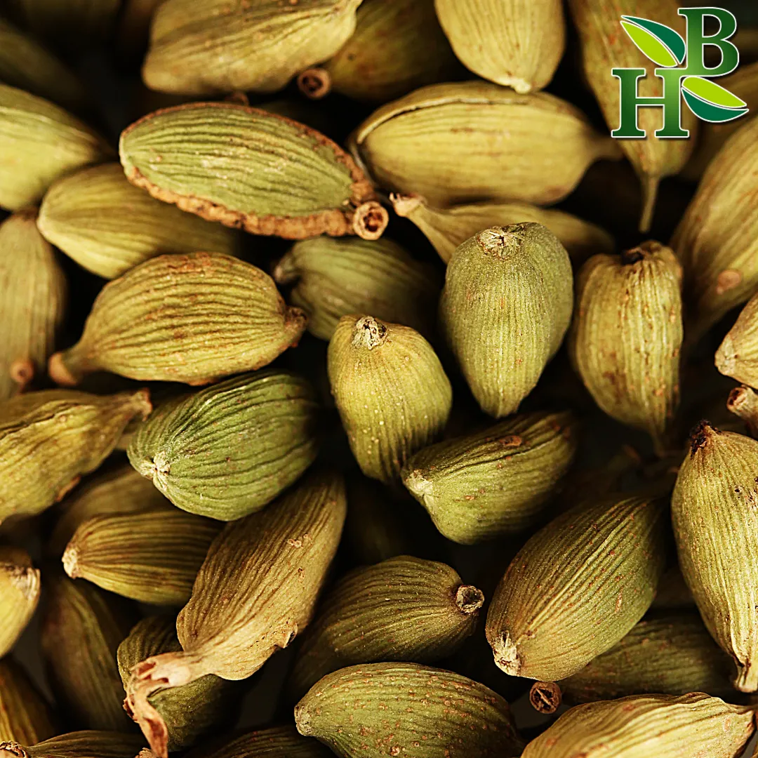Green Cardamom Pods Whole
