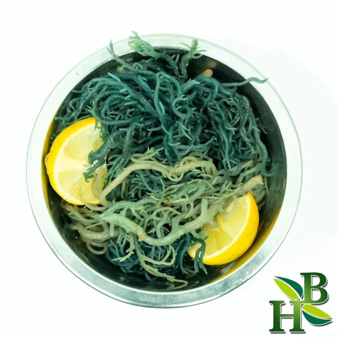 Green Sea Moss - Makes 20oz of Gel - Organic - St Lucia
