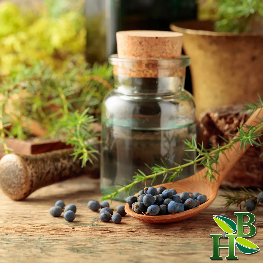 Juniper Berries Whole