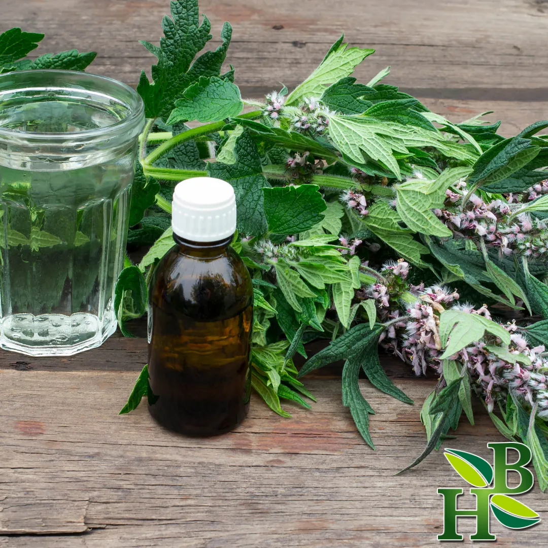 Motherwort Herb C/S