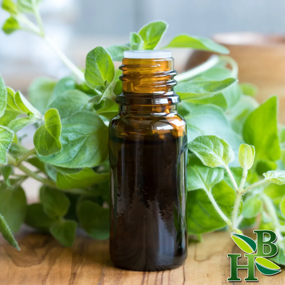 Oregano Leaf Powder