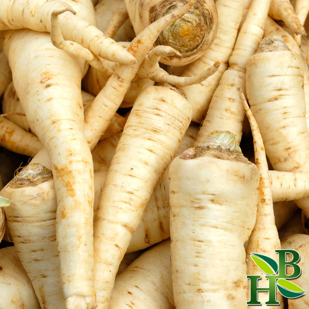 Parsley Root C/S