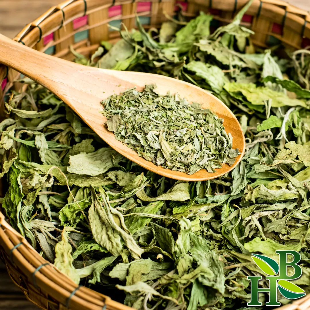 Stevia Leaf C/S