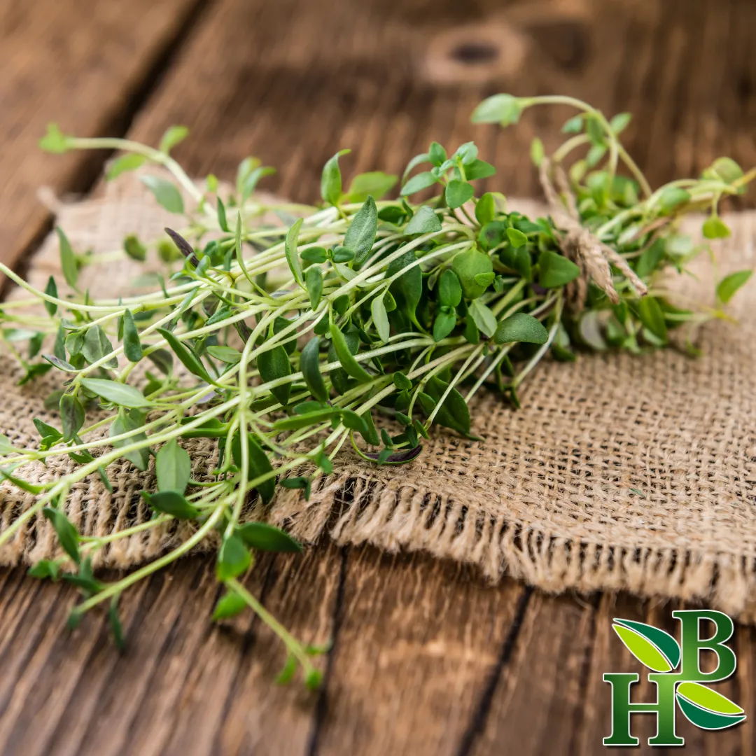 Thyme Leaf Powder