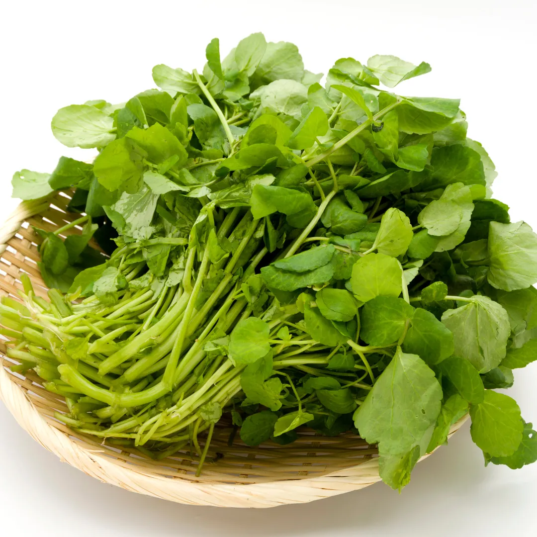 Watercress Herb Powder 1lb