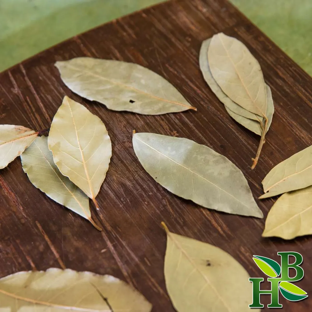West Indian Bay Leaves