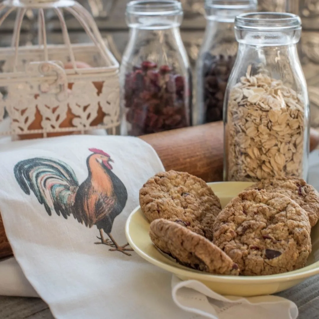 Cranberry Oat Chip - 3 oz