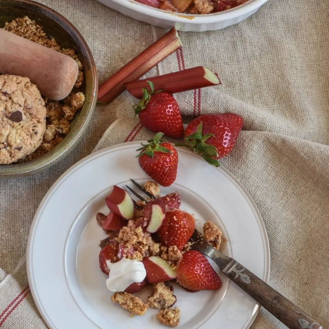 Cranberry Oat Chip - 3 oz