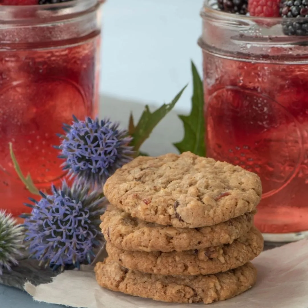 Cranberry Oat Chip - 3 oz