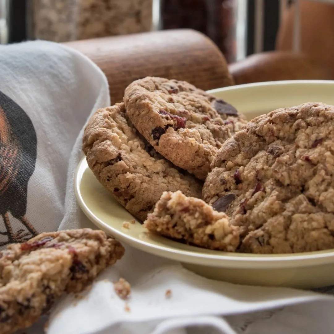 Cranberry Oat Chip - 6 oz