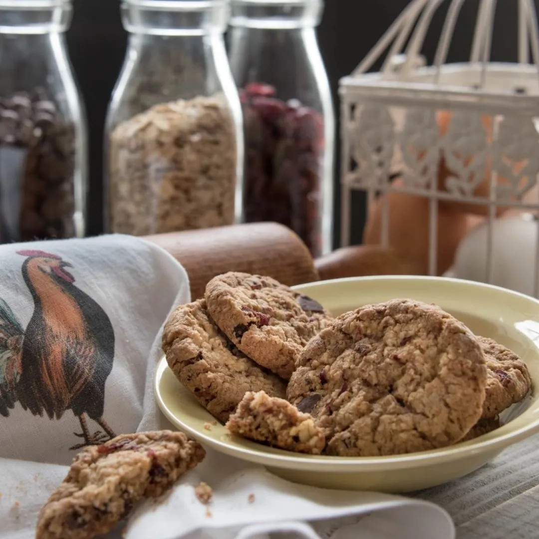 Cranberry Oat Chip - 6 oz