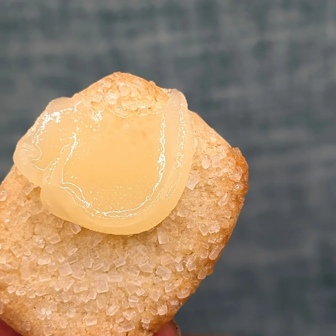Lemon Creamed Honey - Euro Style by Lazy Goat Studio, 12oz