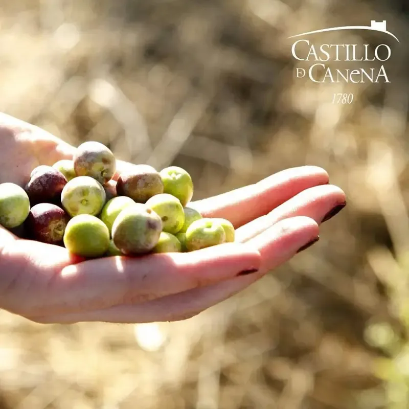 Castillo de Canena BioDynamic Picual - 500ml