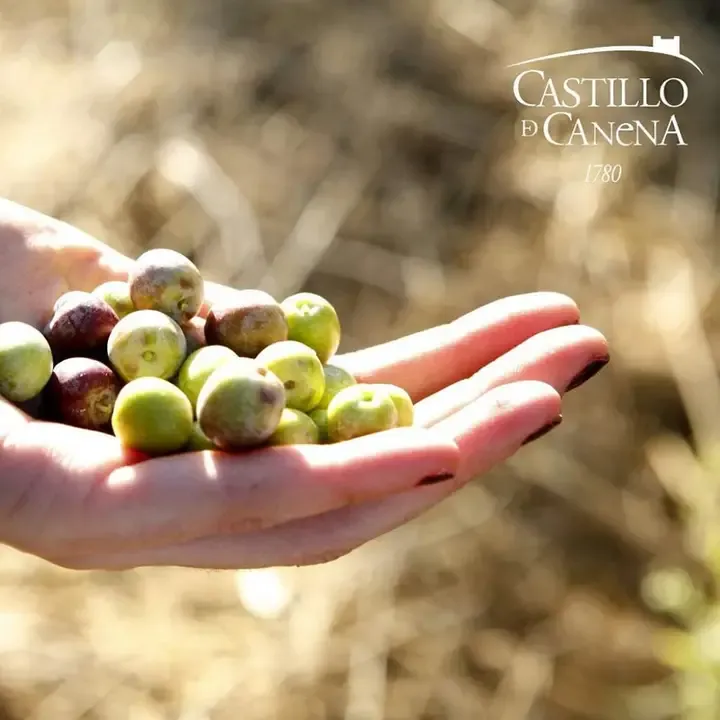 Castillo de Canena Oak Smoked - 250ml