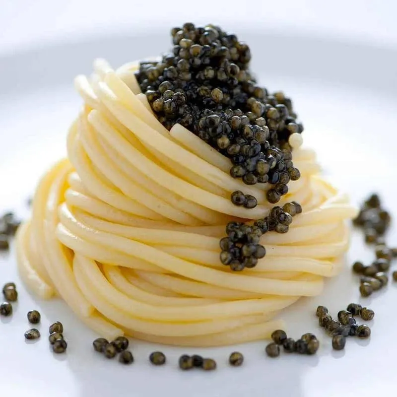 Calvisius Tradition Prestige White Sturgeon Caviar