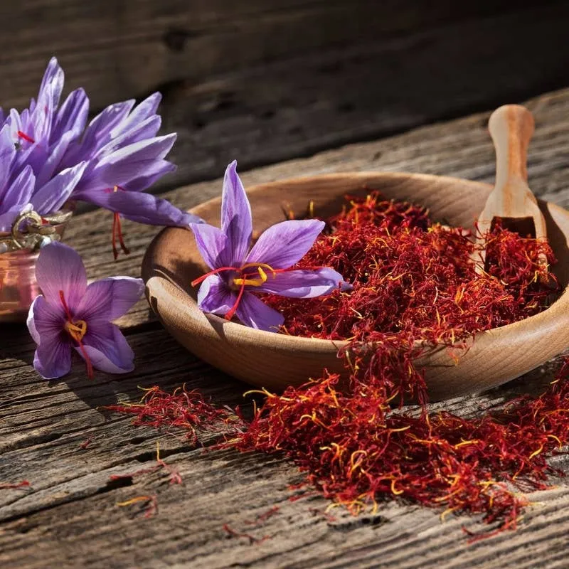 Spanish Saffron Filaments Jar