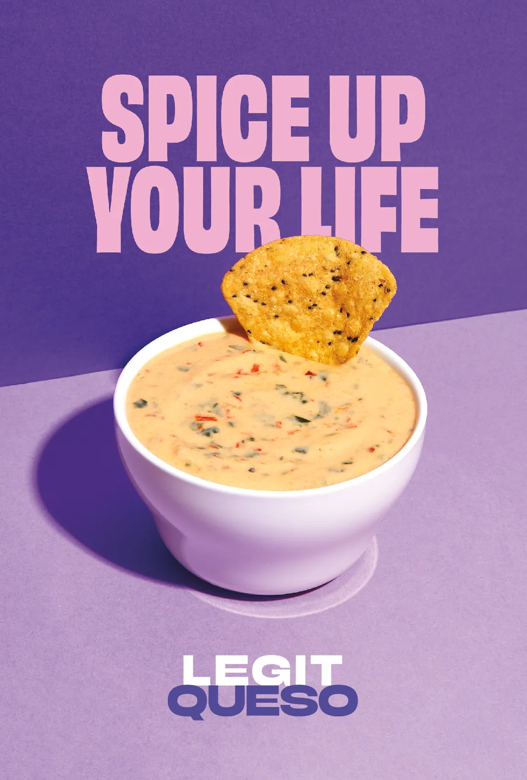 Buffalo Style Queso Dip