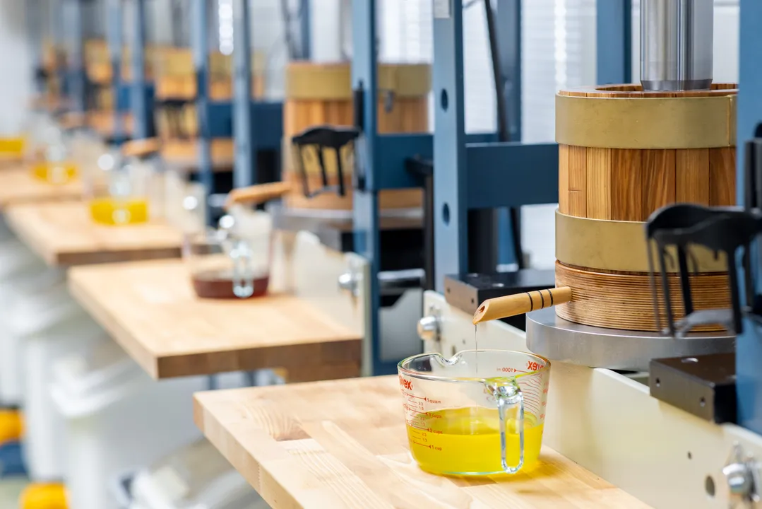 Certified Organic Walnut Oil – Raw Cold-Pressed