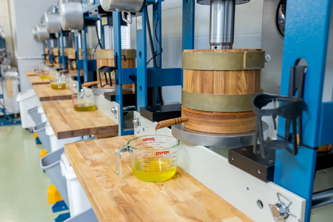 Certified Organic Walnut Oil – Raw Cold-Pressed