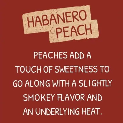 Little Dick's Habanero Peach Hot Sauce - 🍑Small Batch