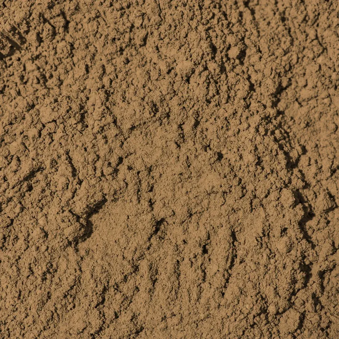 Hojicha