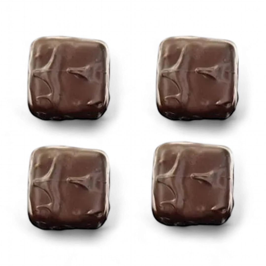 Asher's Dark Chocolate Jumbo Vanilla Marshmallows 5lb