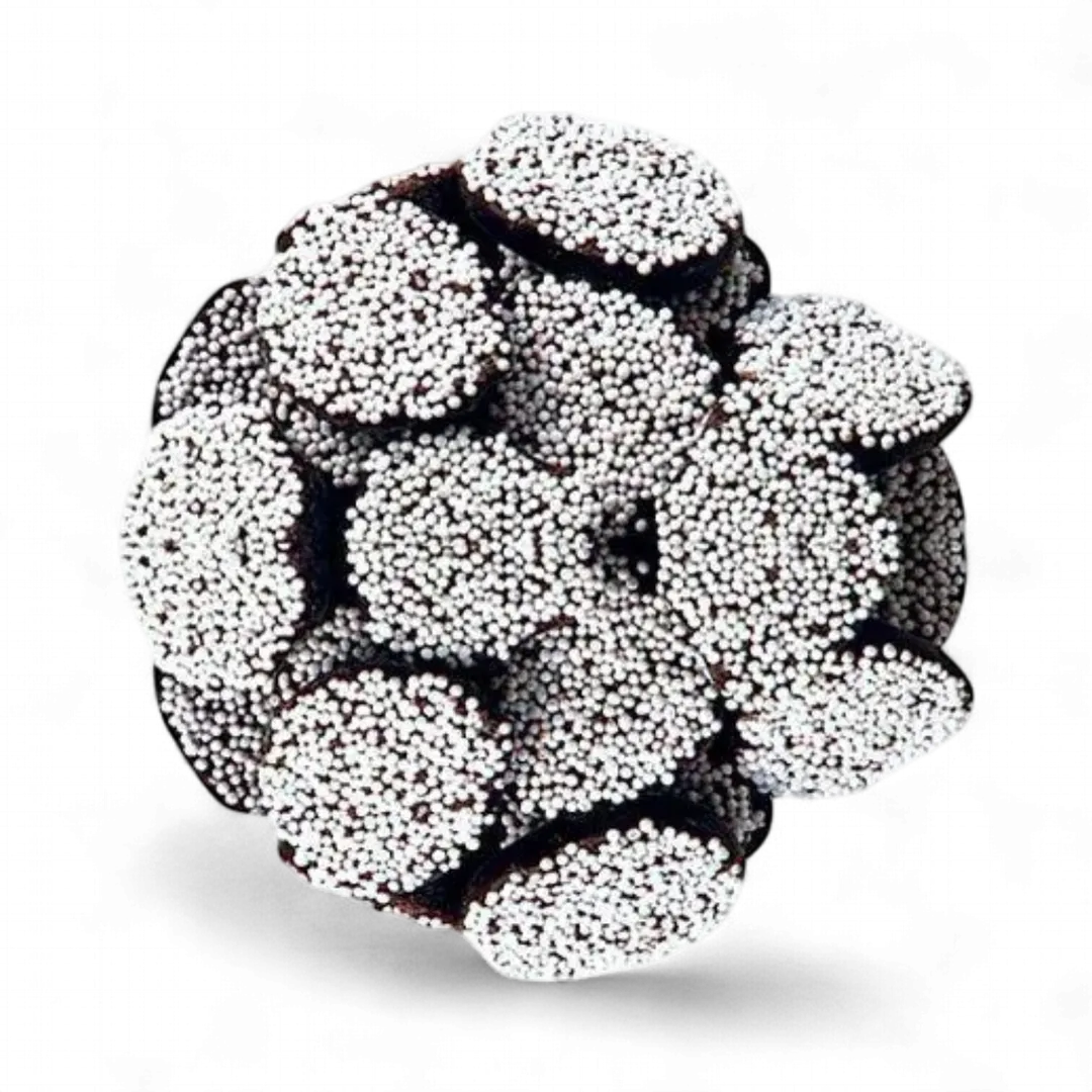 Asher's Dark Chocolate Nonpareils with White Seeds 8 POUND BOX