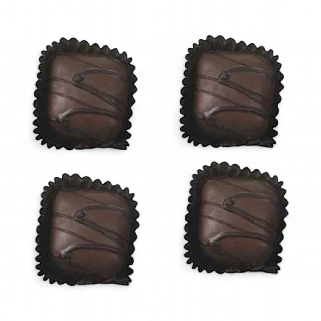 Asher's Milk Chocolate Covered Caramels Sea Salt 6 POUND BOX 148 PIECES