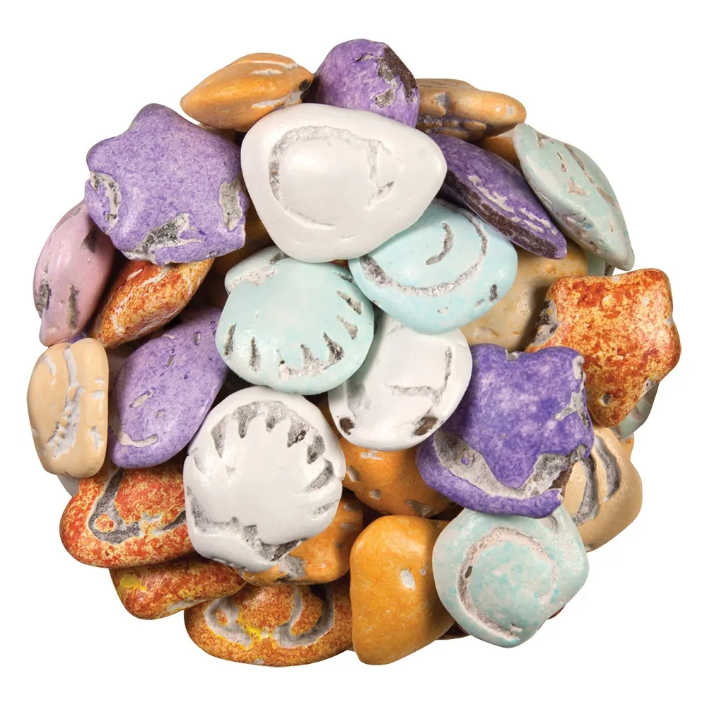 Koppers Chocolate Candy Sea Shells 5lb