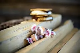Taffy Town Smores 2.5 Pound Bag Individually Wrapped Bulk