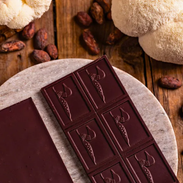 Lion’s Mane Dark Chocolate