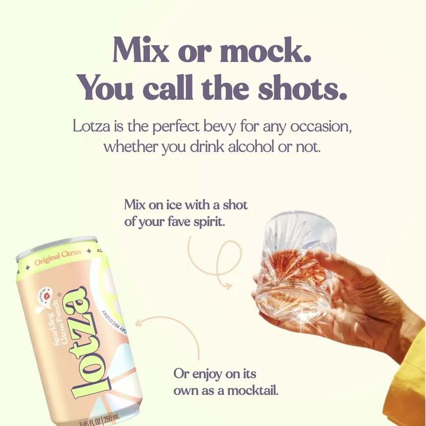 Sparkling Punch Mixer & Mocktail - Original Citrus - 24 Cans