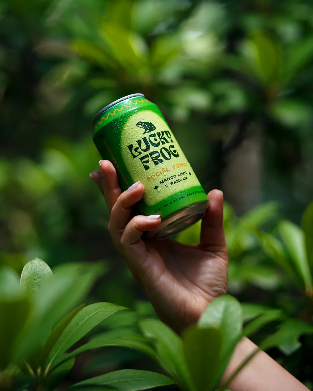 Mango Lime Pandan - 12 Count (SE)