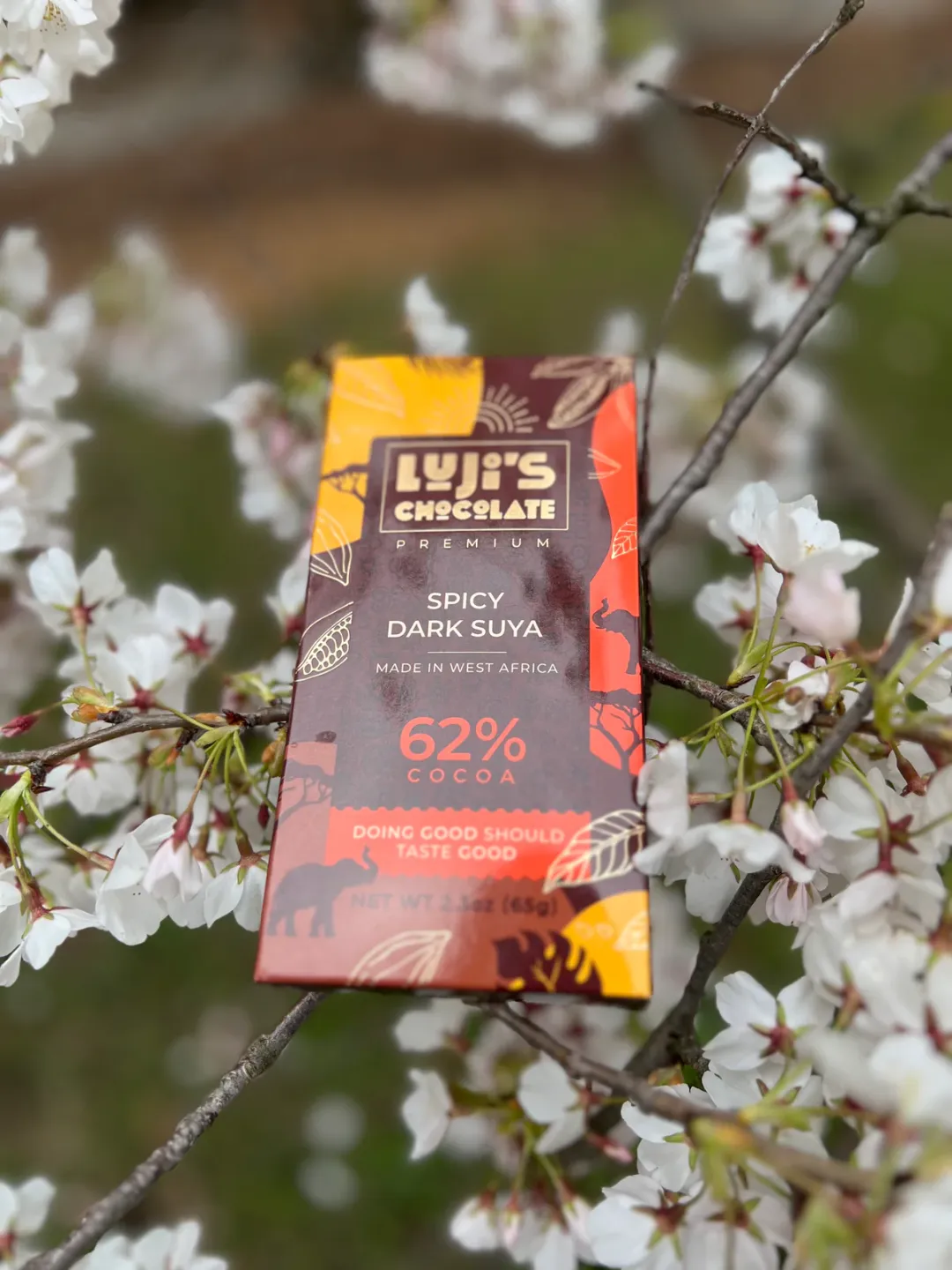 Single-Origin 62% Vegan Dark Chocolate Bar –Spicy Suya (50g)