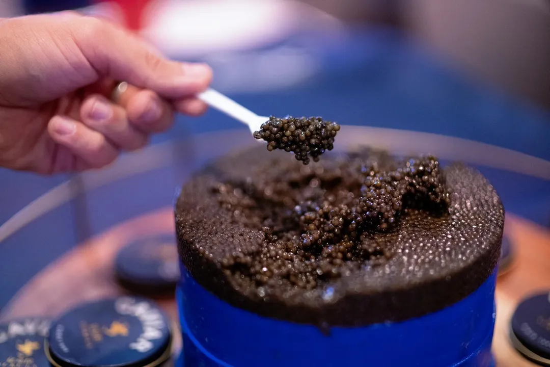 Amur Caviar