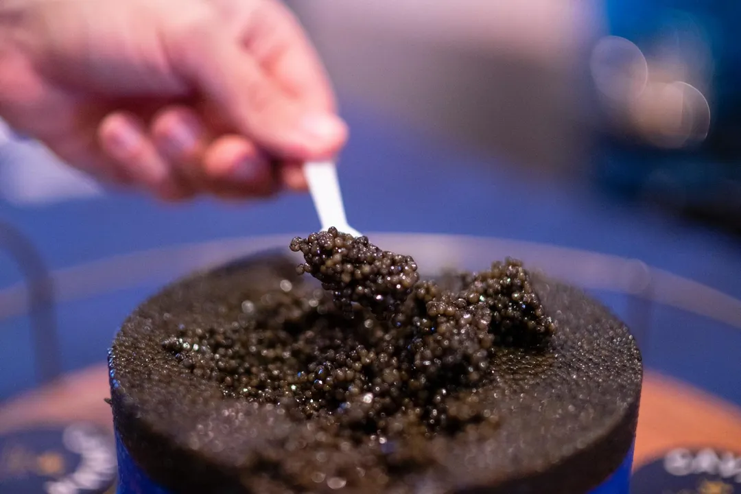 Royal Baerii Caviar