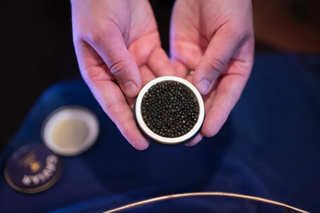 Royal Baerii Caviar