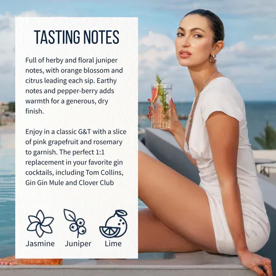  Lyre's Non-Alcoholic Gin Alternative Case of 6