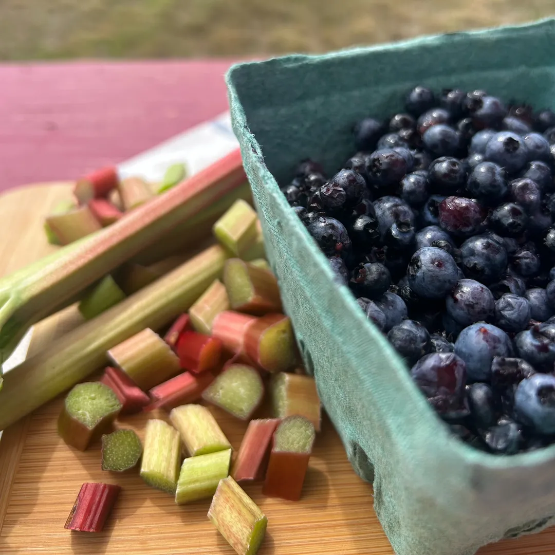 Maine Wild Blueberry Rhubarb Jam