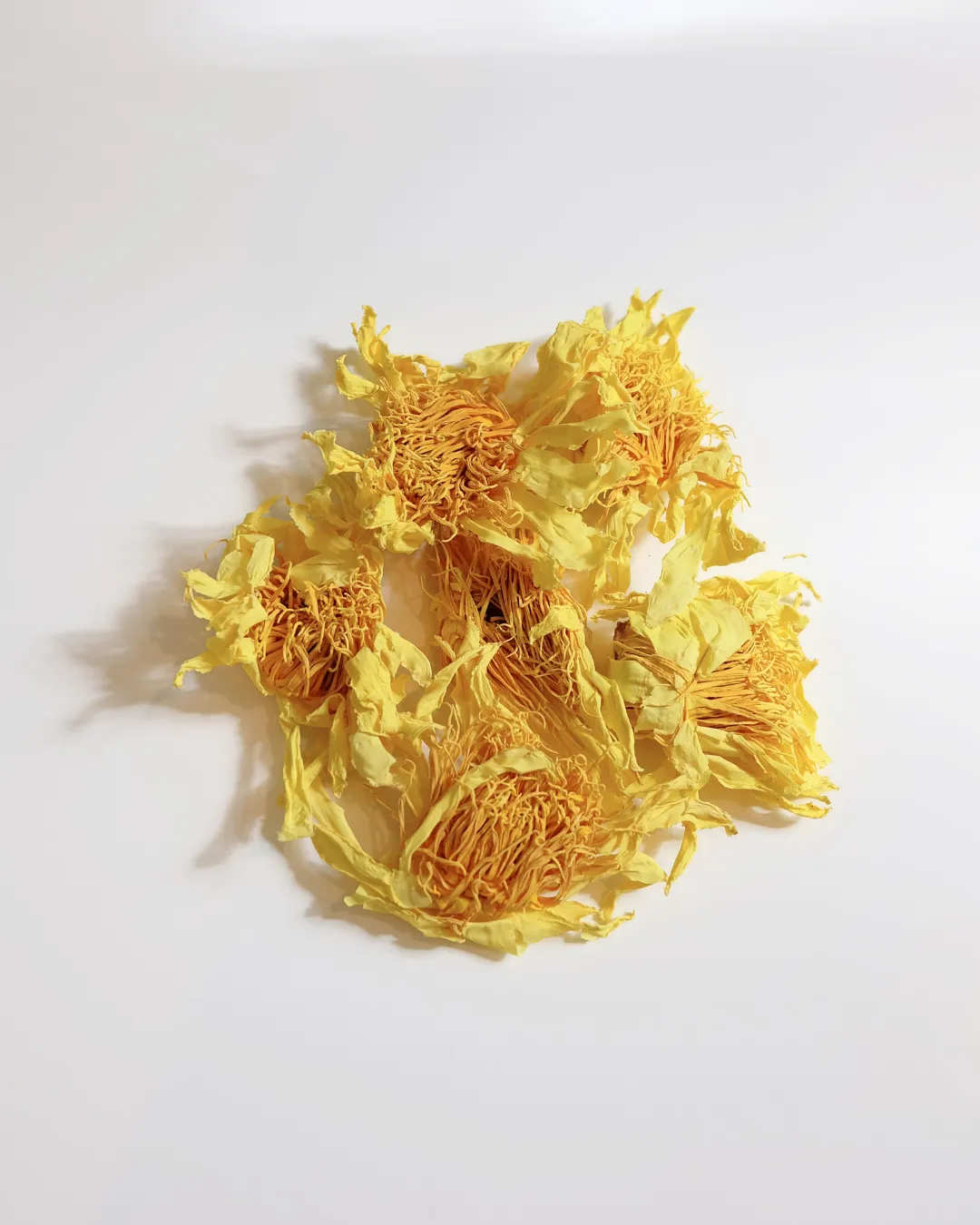 Water Lily Whole Flower Tea Pouch