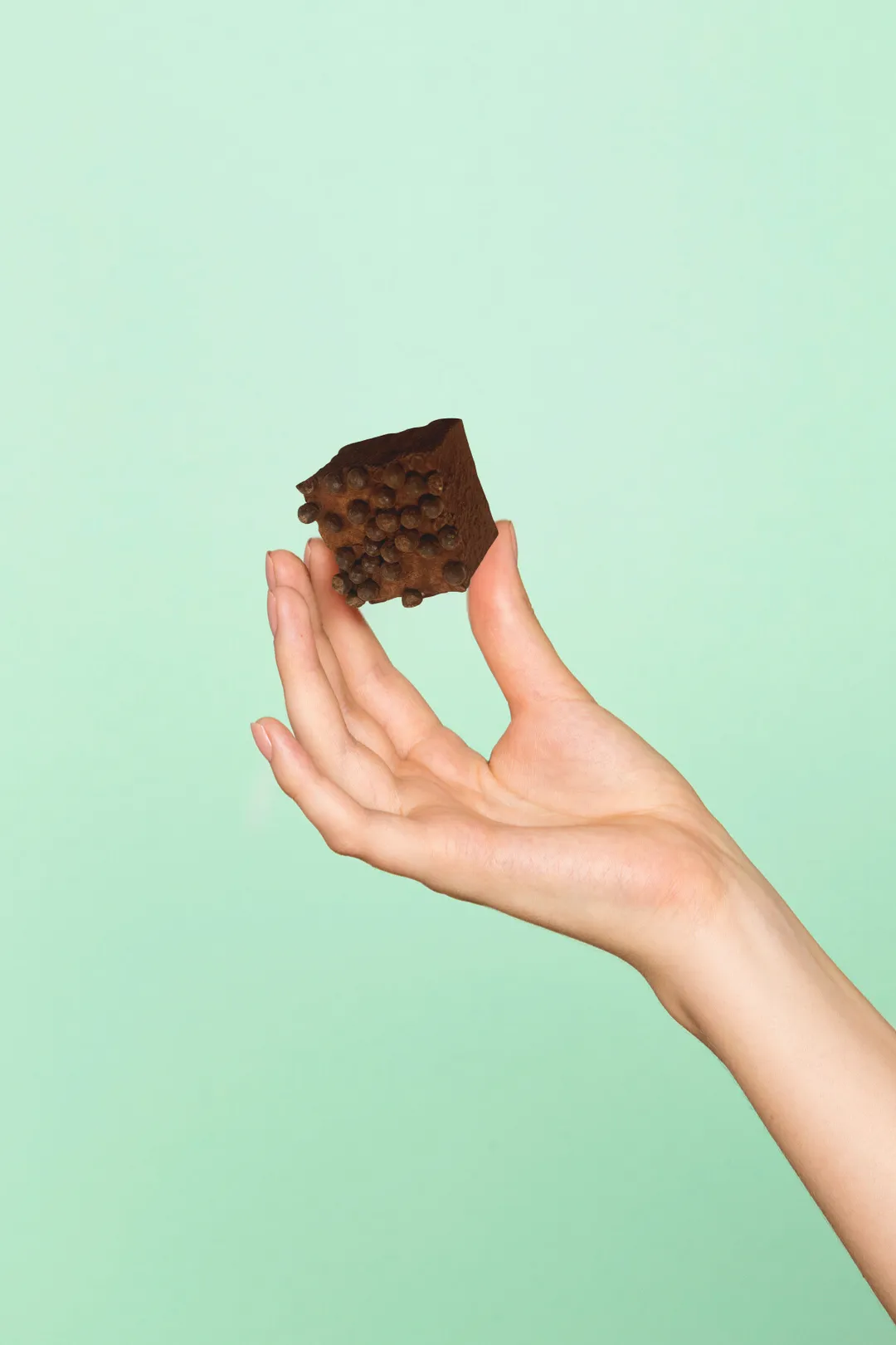 Double Chocolate 4-Pack Marshmallows, Case of 12 Packs
