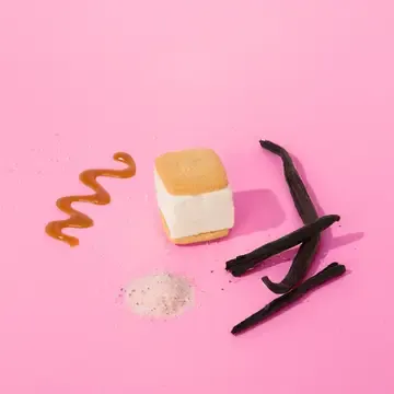 Vanilla Salted Caramel S'mores 3-Pack, Case of 12 Packs