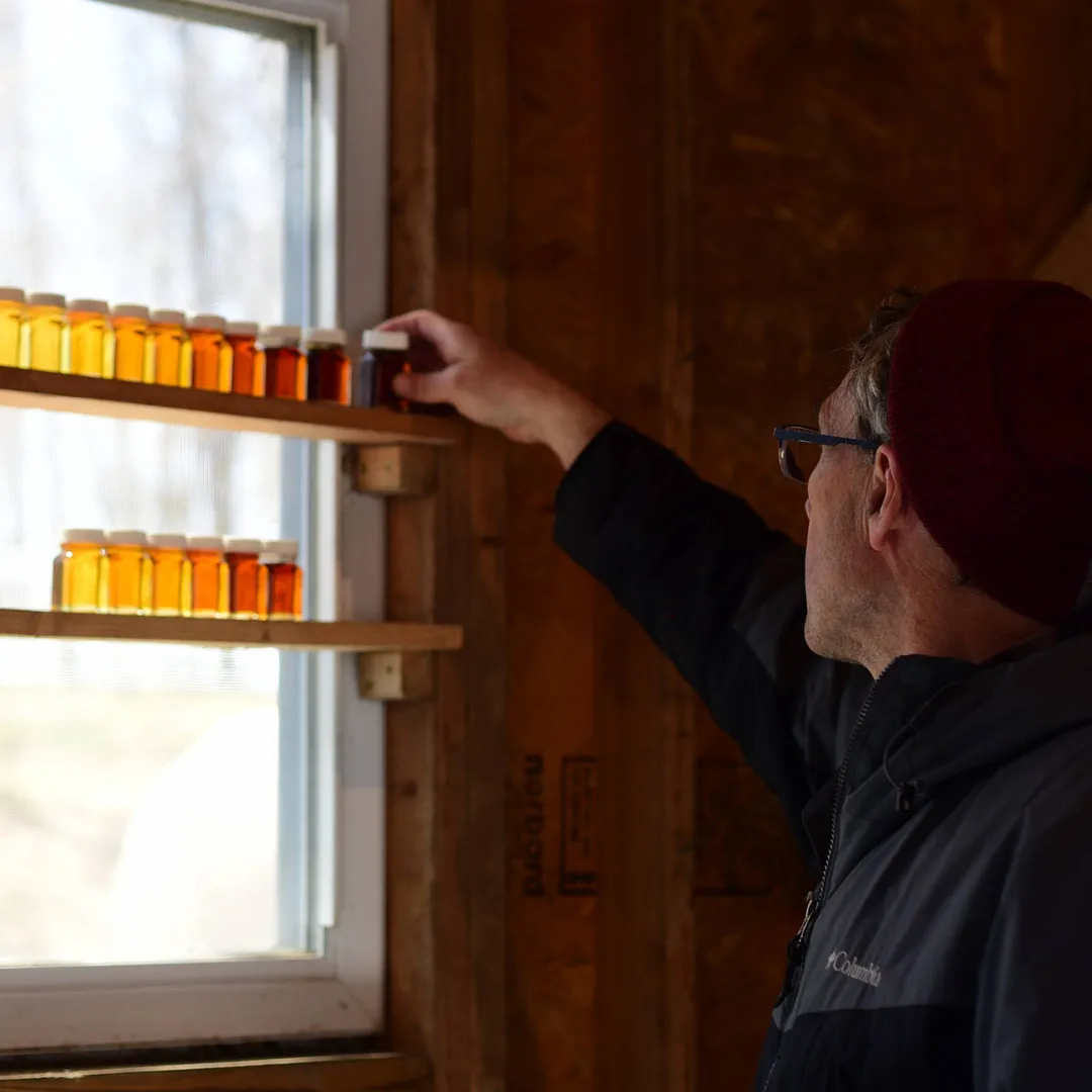 Maple Syrup Organic Amber & Rich 5 Gallon Pail