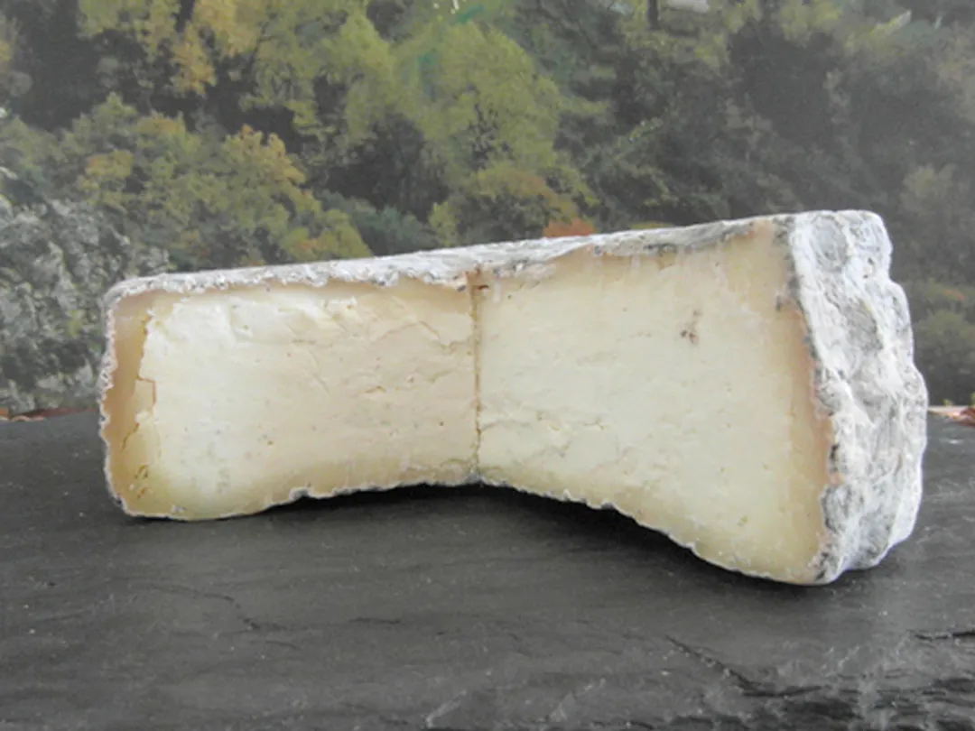 Pecorino Cacio “Fiorello” – Sheep’s Milk Cheese with Goat Yogurt