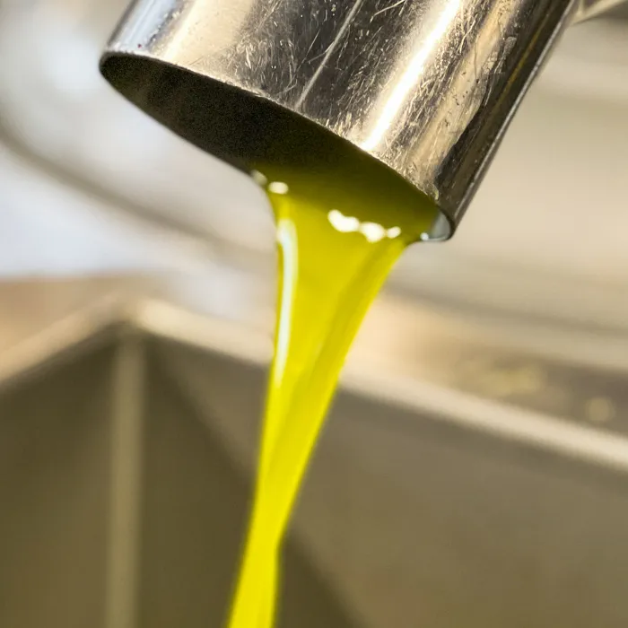 BRAND NEW! 2025 Harvest Olio Fresco, Case of 6 500ml