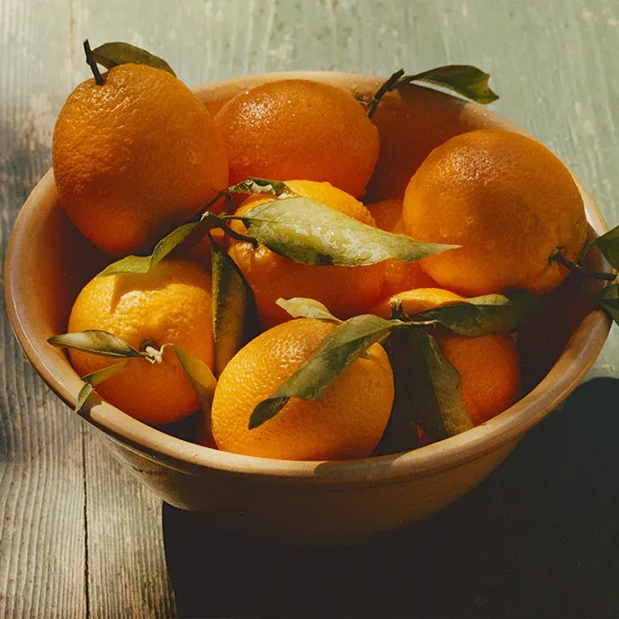 Ruby Valencia & Apricot Fruit Spread - 8oz